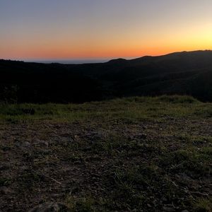 Meet your Posher, Ember